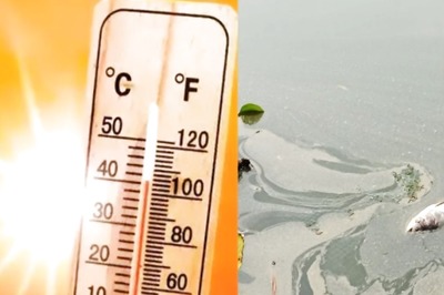 Dead Fish Wash Up In Virudhunagar Water Bodies Due To Intense Summer Heat