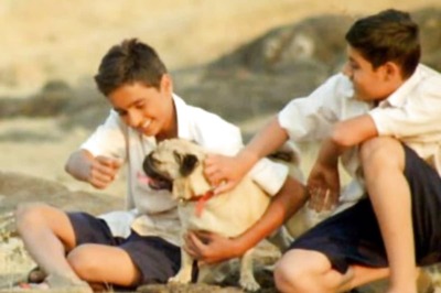 Marathi Film 'Puglya' Wins Best Foreign Feature at Moscow International Film Fest