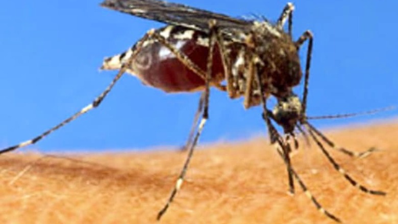 Kolkata Municipal Corporation Issues Dengue Notice to National Library