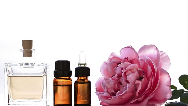 Damask Rose: A Sensual Fragrance For Summer