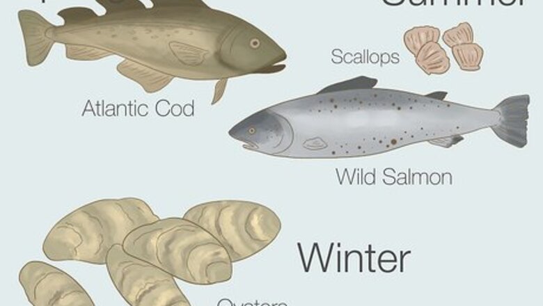 How to Buy Fresh Fish