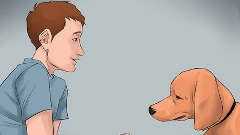 How to Become Close With Your Dog