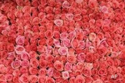Bihar town turns pink to fight crime