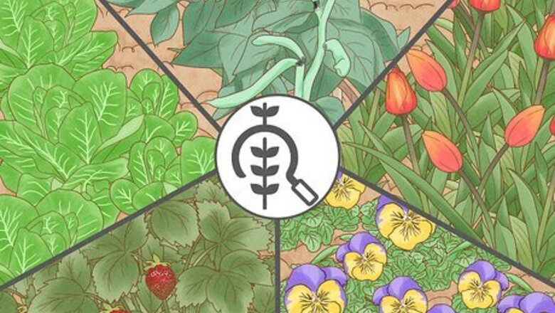 How to Keep Deer Out of a Garden
