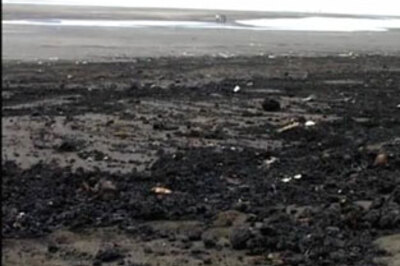 'BP Spillcam' deemed top TV word