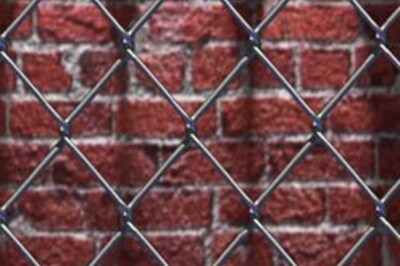 Obese cat put on a crash diet!