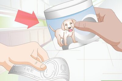 How to Safely Formula Feed Puppies