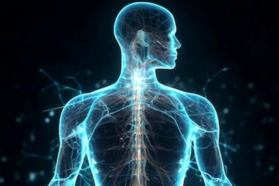 Expert Explains What Bone Cracking And Joint Popping Mean For Your Health