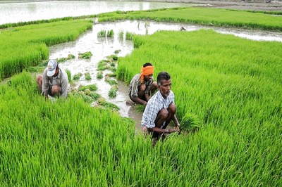 RSS To Launch Campaign to Educate Farmers about Bio Farming And Ill-effects of Chemicals on April 13