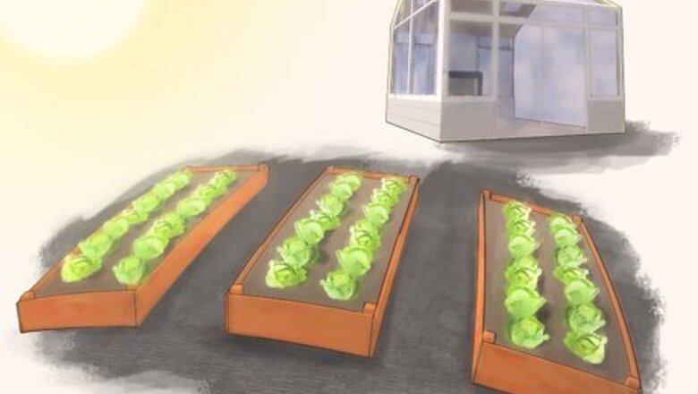 How to Make a Seedbed
