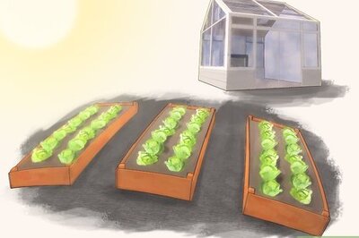 How to Make a Seedbed