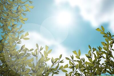 How to Hold a Butterfly