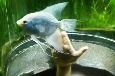 '#WhatWillHappen': Bengaluru CEO's Last & Only Post About Son on Instagram