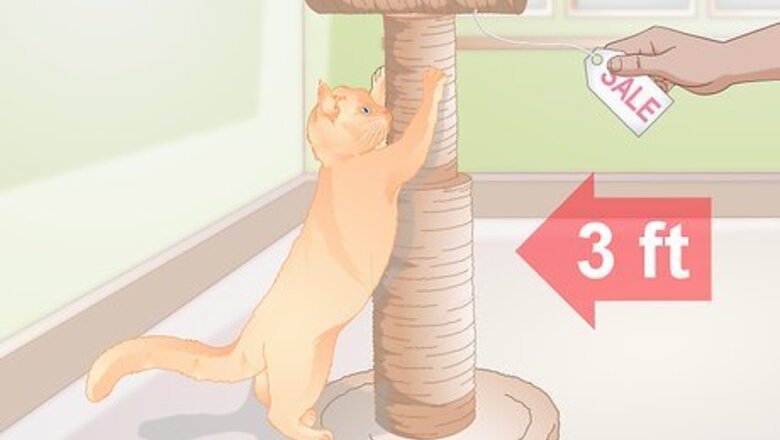 How to Find Alternatives to De Clawing Your Cat