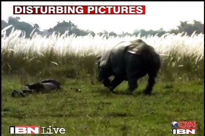 Three arrested for rhino poaching in Assam