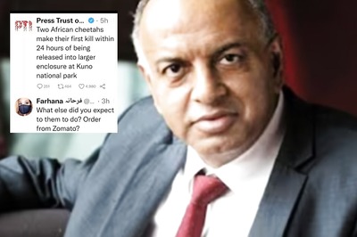 'Should Cheetahs Have Ordered From Zomato?': Sanjeev Bikhchandani Impressed With Brand's 'TOMA'