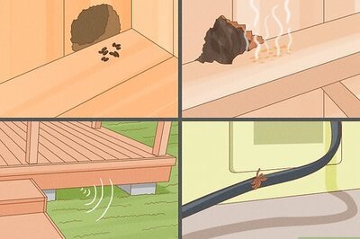 How to Kill Rats Quickly & Prevent Them from Coming Back