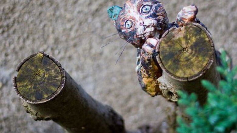 How to Write a Pet Memoir