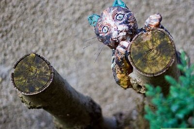 How to Write a Pet Memoir