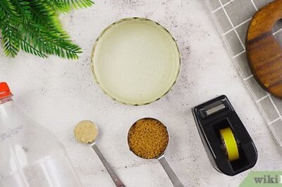 How to Make a Plastic Bottle Mosquito Trap