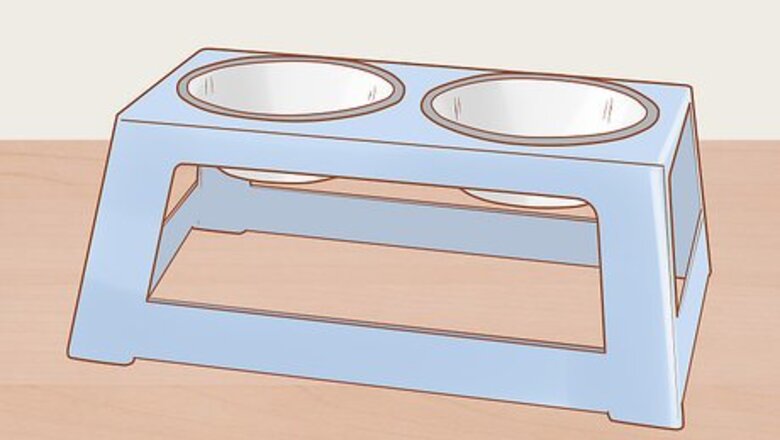 How to Make Daily Life Easier for a Mobility‐Impaired Cat