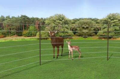 How to Install an Electric Fence