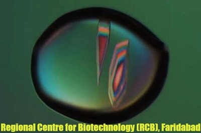 RCB Recruitment 2018: 27 Technical & Administrative Posts, Apply Before May 17