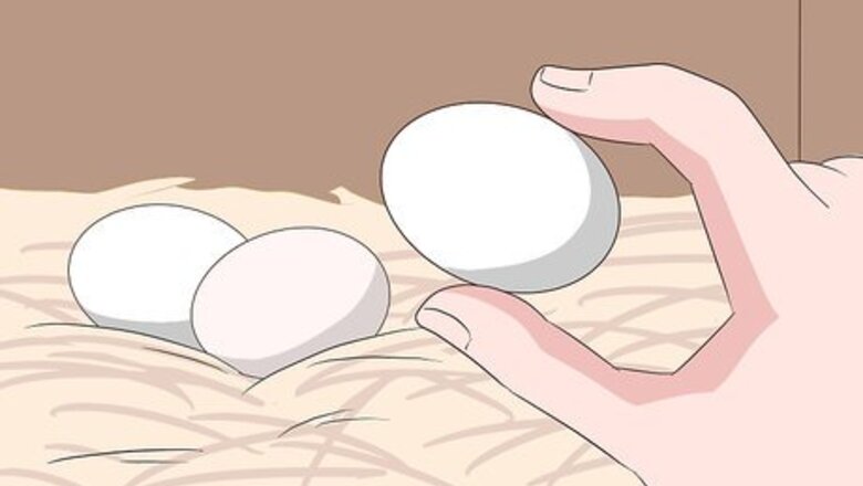 How to Clean Eggs