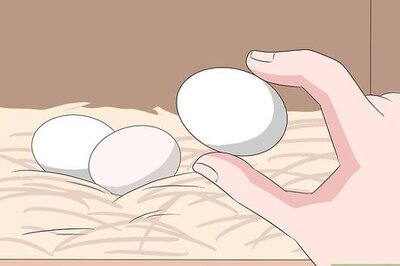 How to Clean Eggs