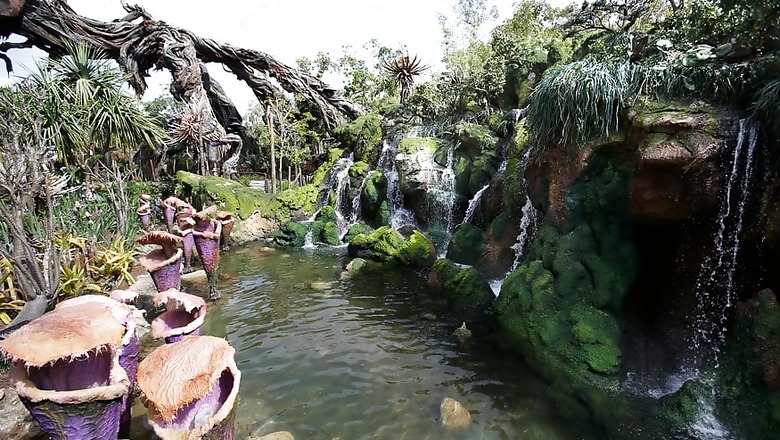 A Look at Disney World's New Pandora-World of Avatar Land in Pictures