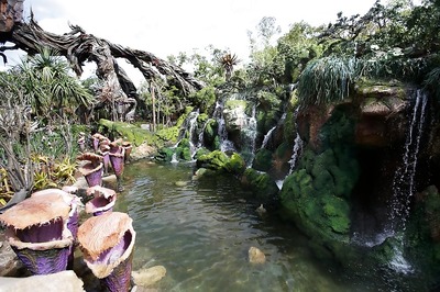 A Look at Disney World's New Pandora-World of Avatar Land in Pictures