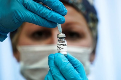 Russia Produces First Batch of COVID-19 Vaccine for Animals - Regulator