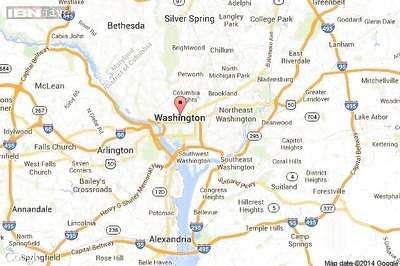 Mantis shrimps see reef in a different light!