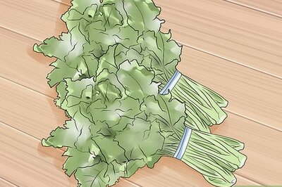How to Shop for Kale