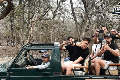 IPL 2024: It's Safari Time For Rashid Khan, Azmat Omarzai And Noor Ahmad