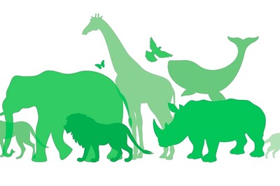National Endangered Species Day 2024: History, Significance, and How to Help Safeguard Endangered Species