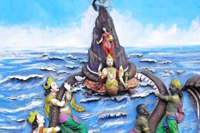 Massive Snake Fossil Found In Gujarat Hints At 'Largest Serpent To Have Existed'