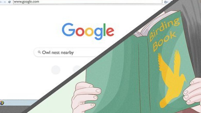 How to Find an Owl's Nest