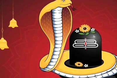Nag Panchami 2024: Astrologer’s Rituals For Financial Prosperity And Family Happiness