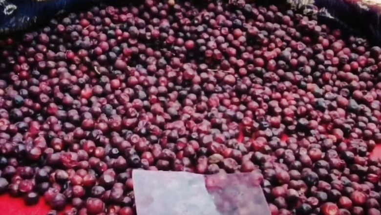 Despite Being Healthy, Why This South Asia Fruit Remains Underappreciated