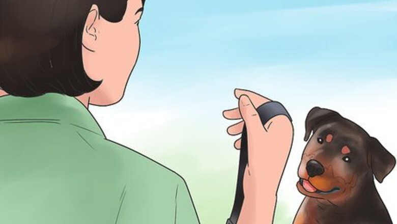 How to Take a Dog Out to Poop