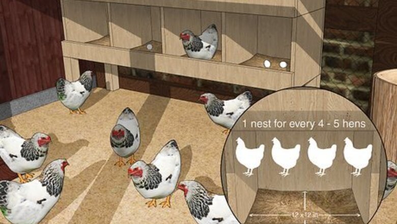 How to Keep Chickens from Eating Their Own Eggs
