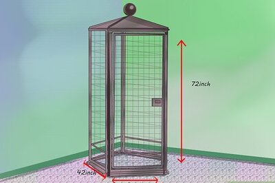 How to Care for a Hyacinth Macaw