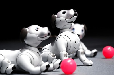 AIBO Intelligent: Sony to Release AI-infused Robotic Pups in the US