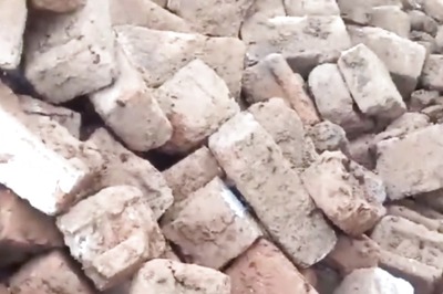 Family In Madhya Pradesh's Jabalpur Homeless Due To Ants