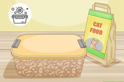 How to Keep Ants Away From Cat Food