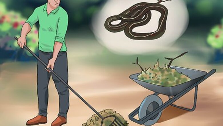 How to Treat a Snakebite on a Dog