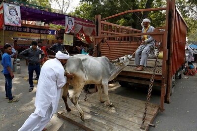 New Rules Will Curb Illegal Cattle Sale: Environment Ministry