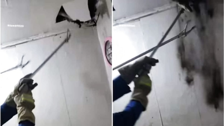 Man Hears Hissing Sound From His Roof. Here's What It Came From