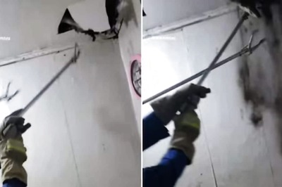 Man Hears Hissing Sound From His Roof. Here's What It Came From